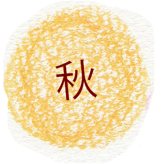 若林真樹　絵を展示しています